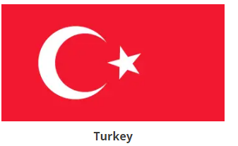 10+ Best Earn Money Online Sites for Turkey