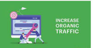 Organic Traffic Increase