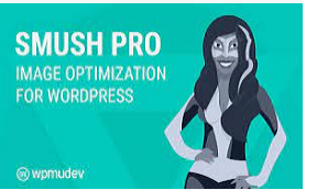 Smush Pro WP Plugin