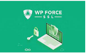 wp force ssl